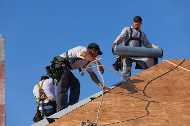 Best Emergency Roof Repair  in Island City, OR