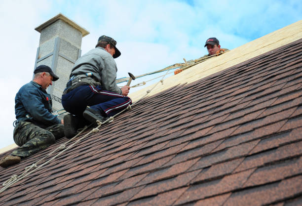 Professional Roofing Contractor in Island City, OR